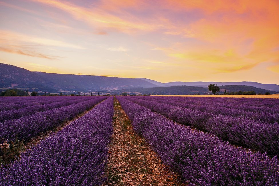 Villas in der Provence