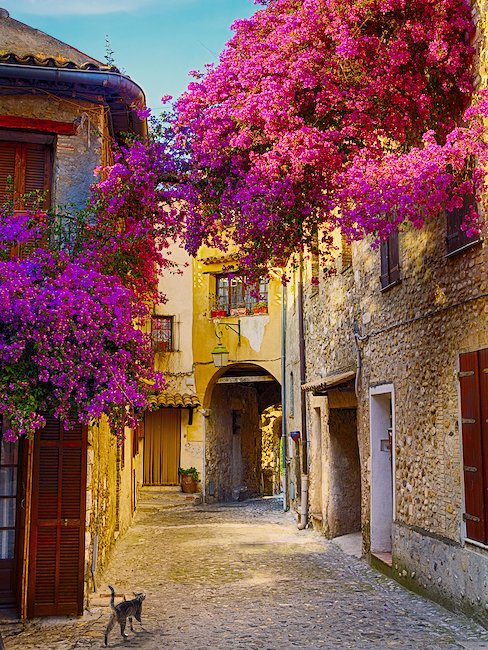 In der Provence liegt der Duft von Blüten und Kräutern in der Luft