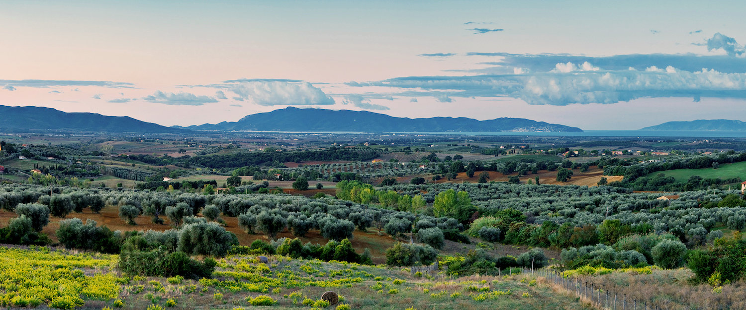 Maremma. Maremma.
