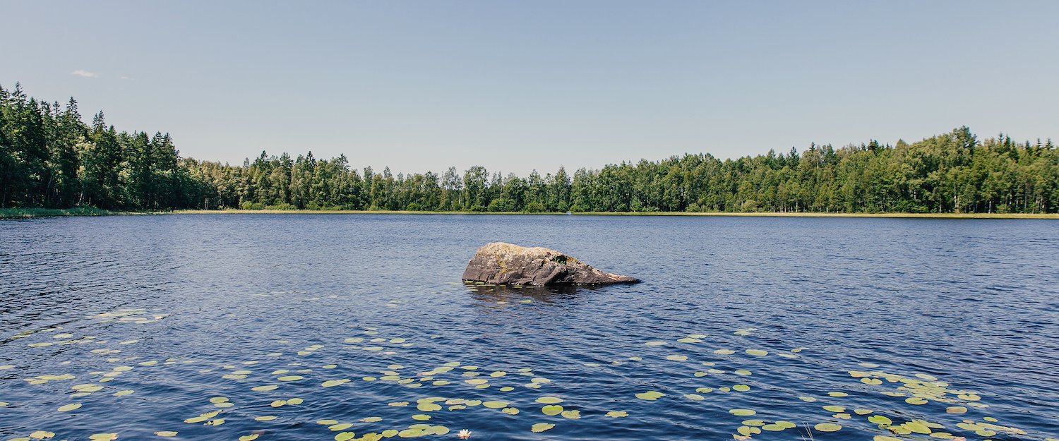 Ferienwohnungen und Ferienhäuser am Bunn