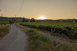 Provence-Alpes-Côte d'Azur