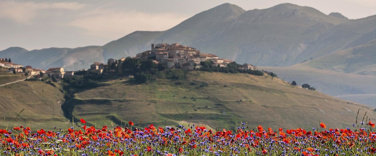 Tipico paesaggio rurale della provincia umbra. Tipico paesaggio rurale della provincia umbra.
