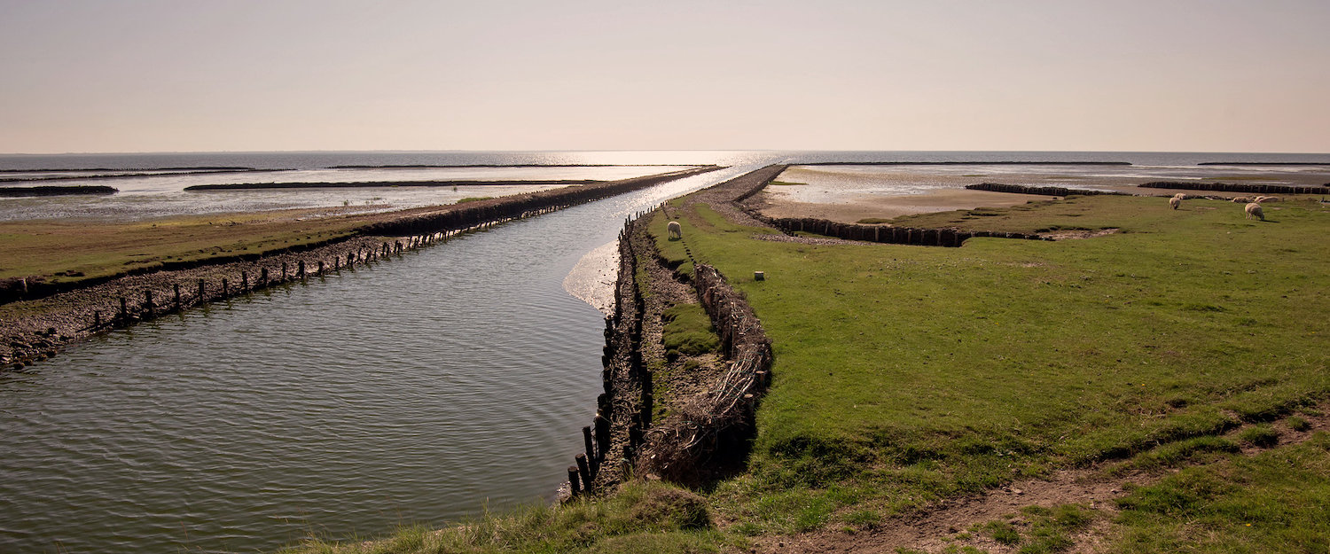 Nationalpark Wattenmeer in Esbjerg Nationalpark Wattenmeer in Esbjerg
