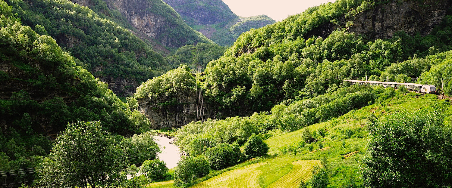Flåmsbanen