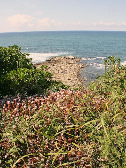 Vue sur la mer, Saint-Jean-de-Luz