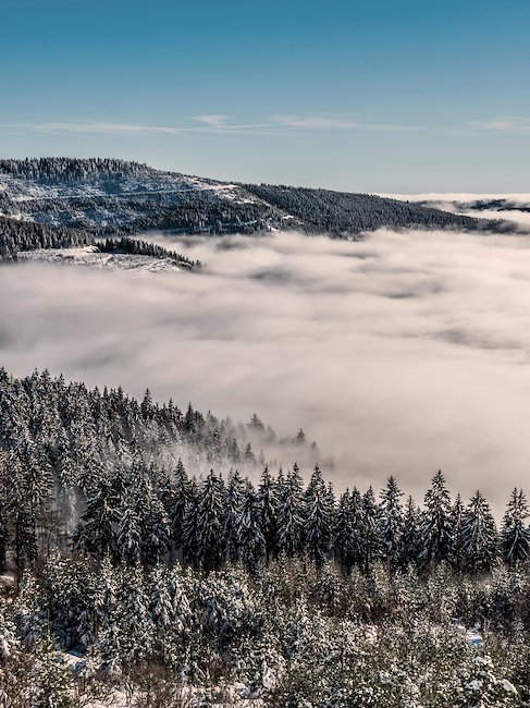 Vistas de los montes nevados en la Selva Negra