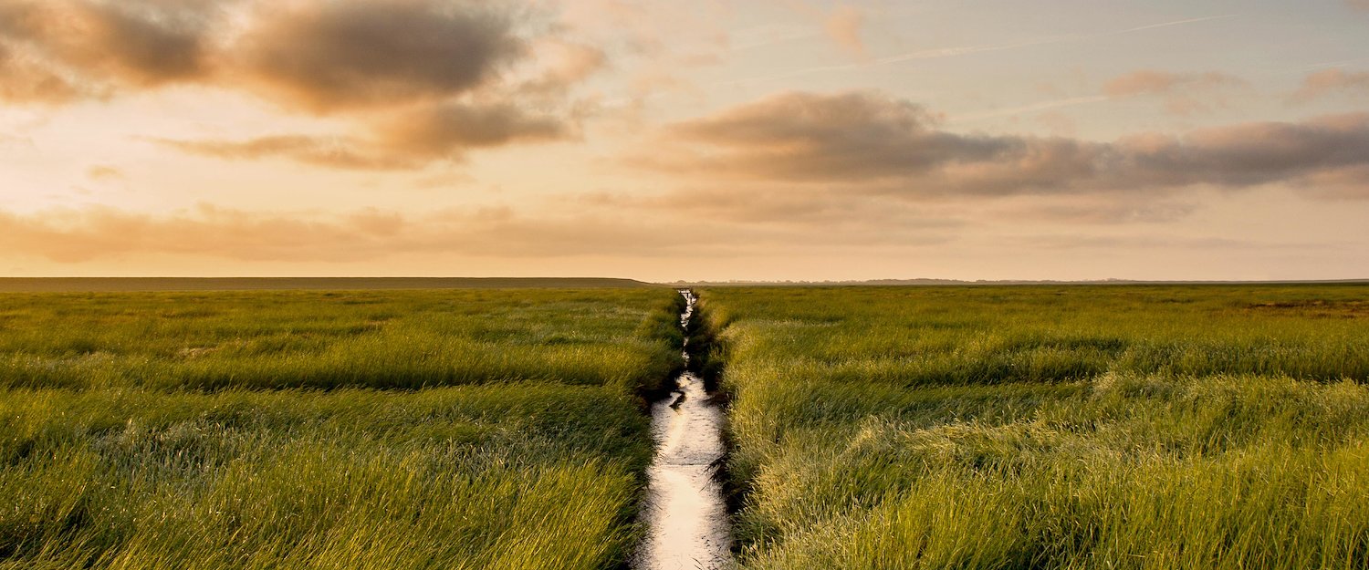 Marschland bei St. Peter-Ording