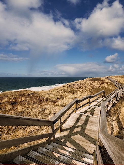 Holzweg auf Sylt