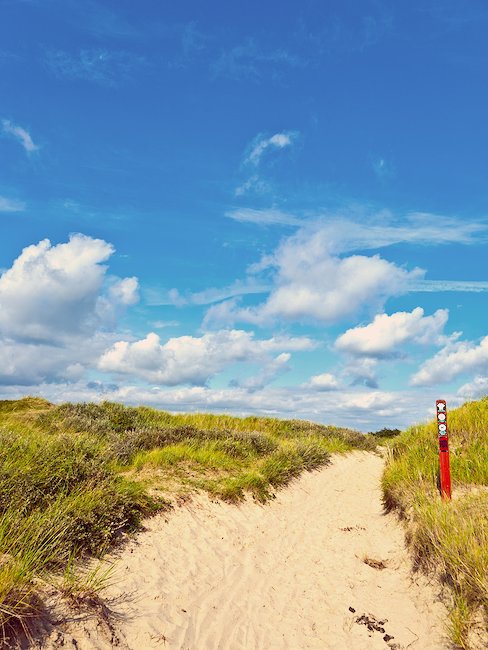 Genießen Sie lange Strandspaziergänge auf Fanø