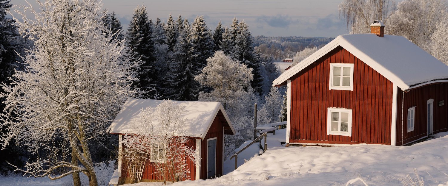Svensk vinter