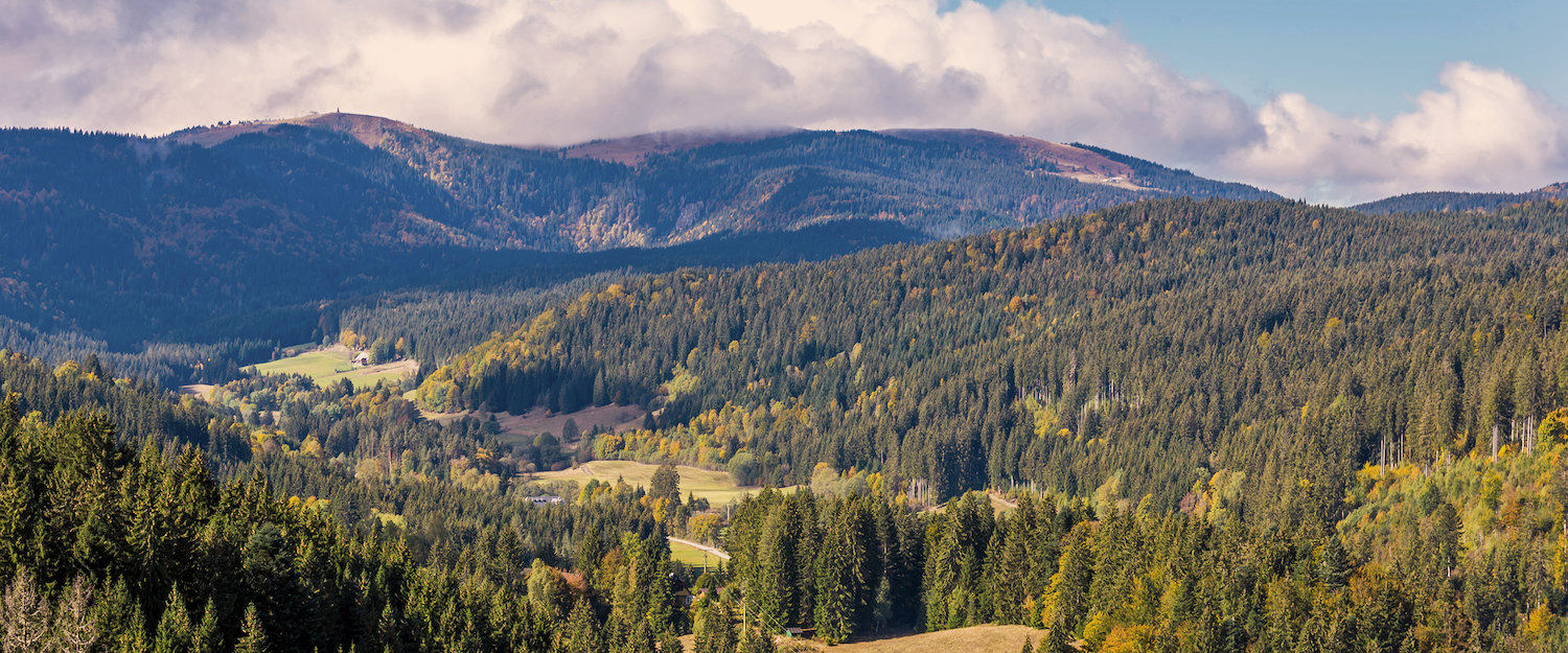 Natürliche Landschaft in Bad Bellingen Natürliche Landschaft in Bad Bellingen