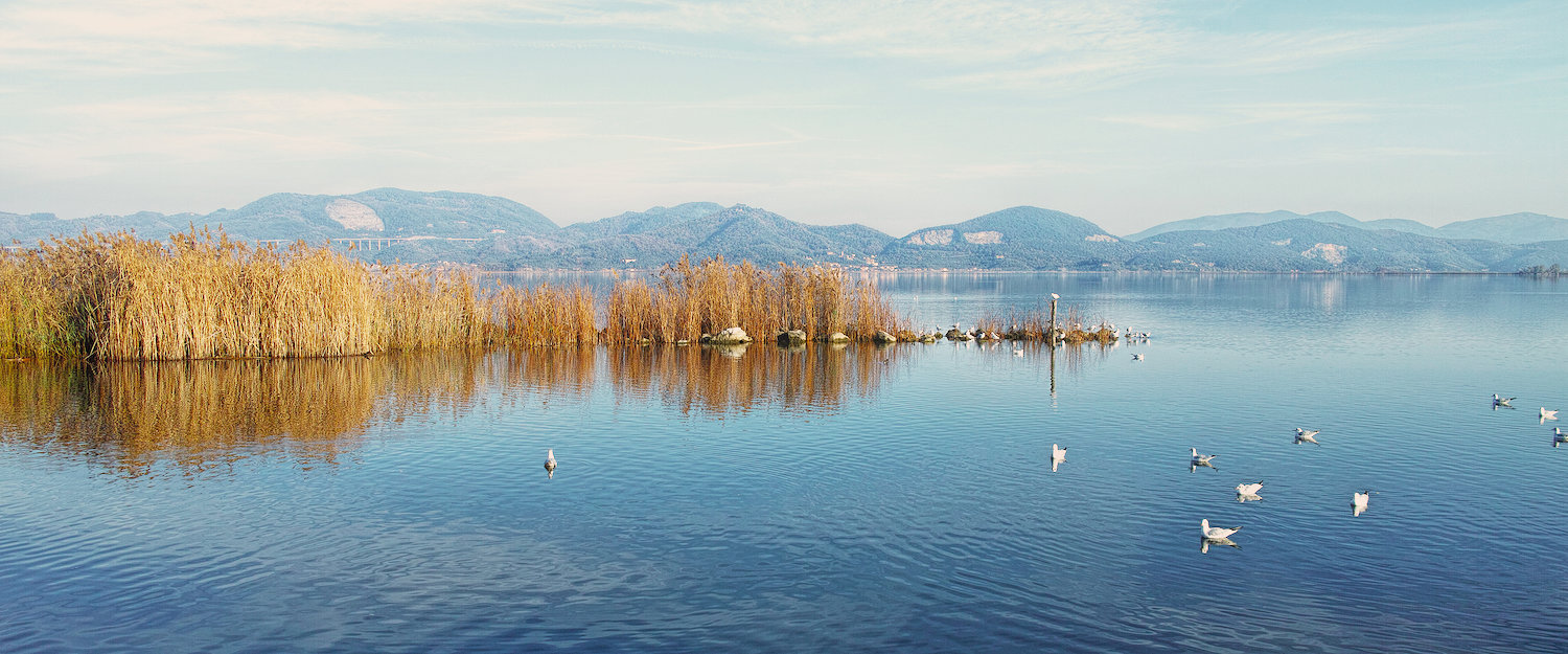 Torre del Lago. Torre del Lago.
