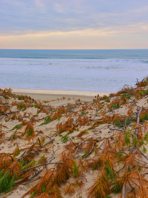 Plage de Biscarrosse