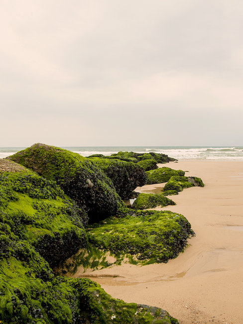 Plage Lacanau