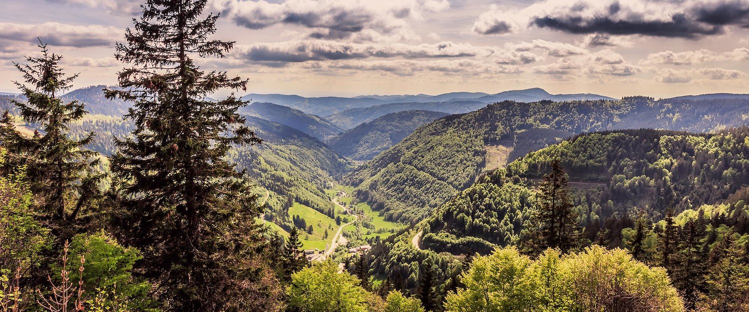 Der Felsberg Der Felsberg