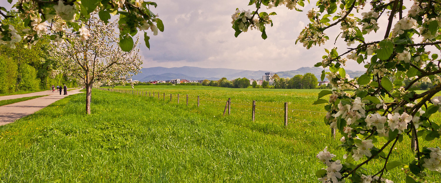 Herrlicher Ausblick auf das Dreisamtal Herrlicher Ausblick auf das Dreisamtal