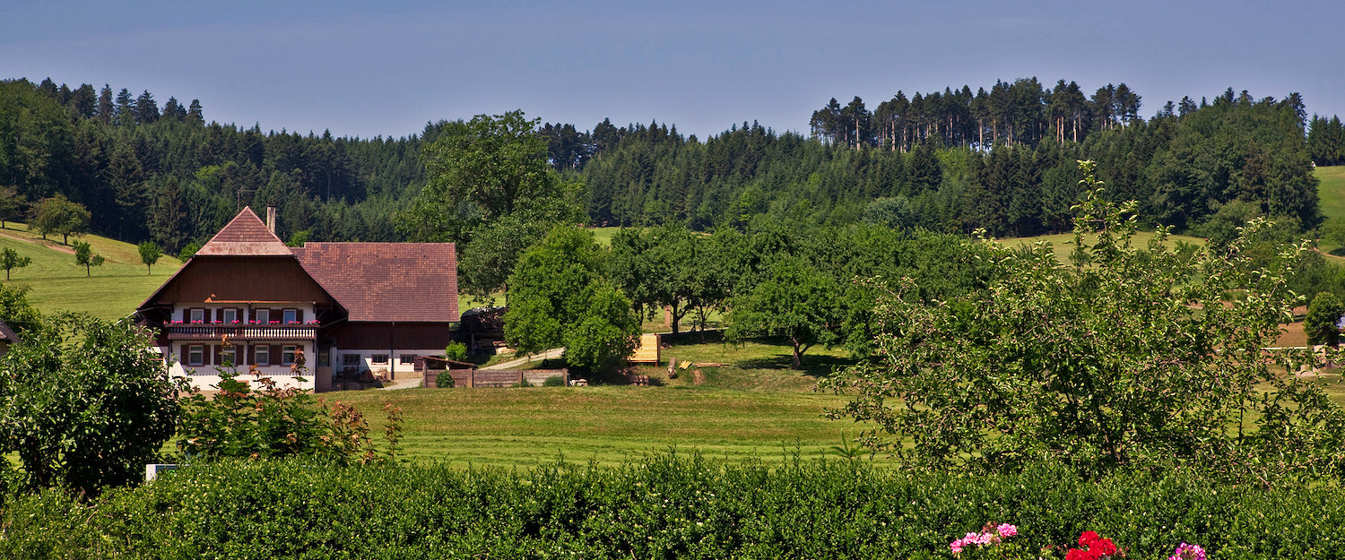 Hébergements Bad Durrheim