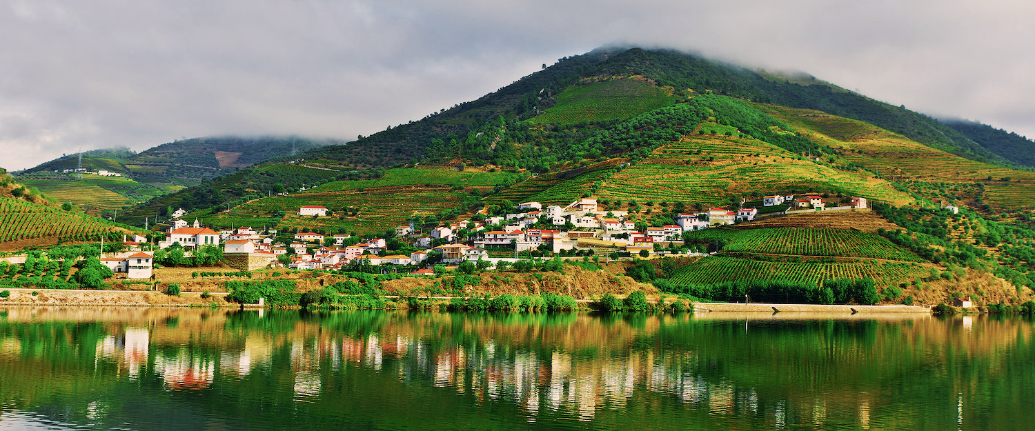 Paisagem Típica do Vale do Douro
