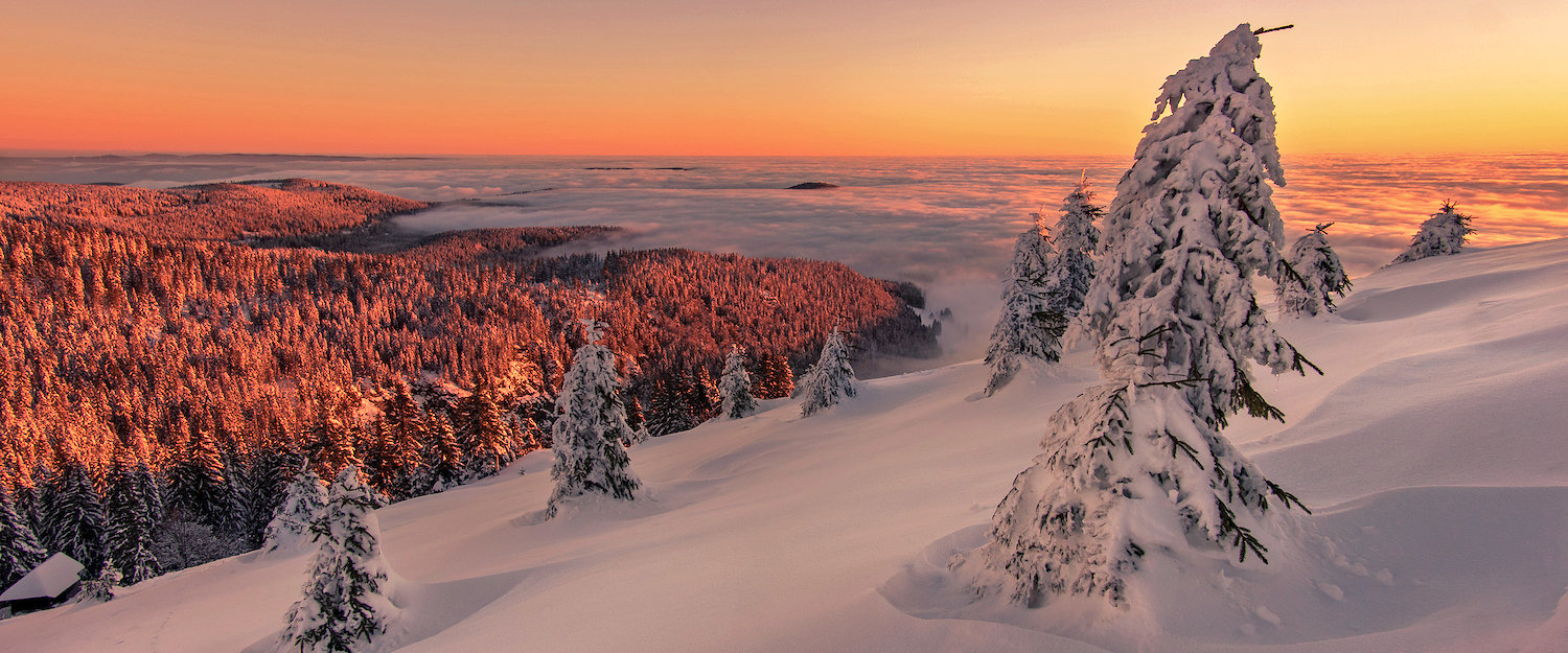 Schneelandschaft im Sonnenaufgang Schneelandschaft im Sonnenaufgang