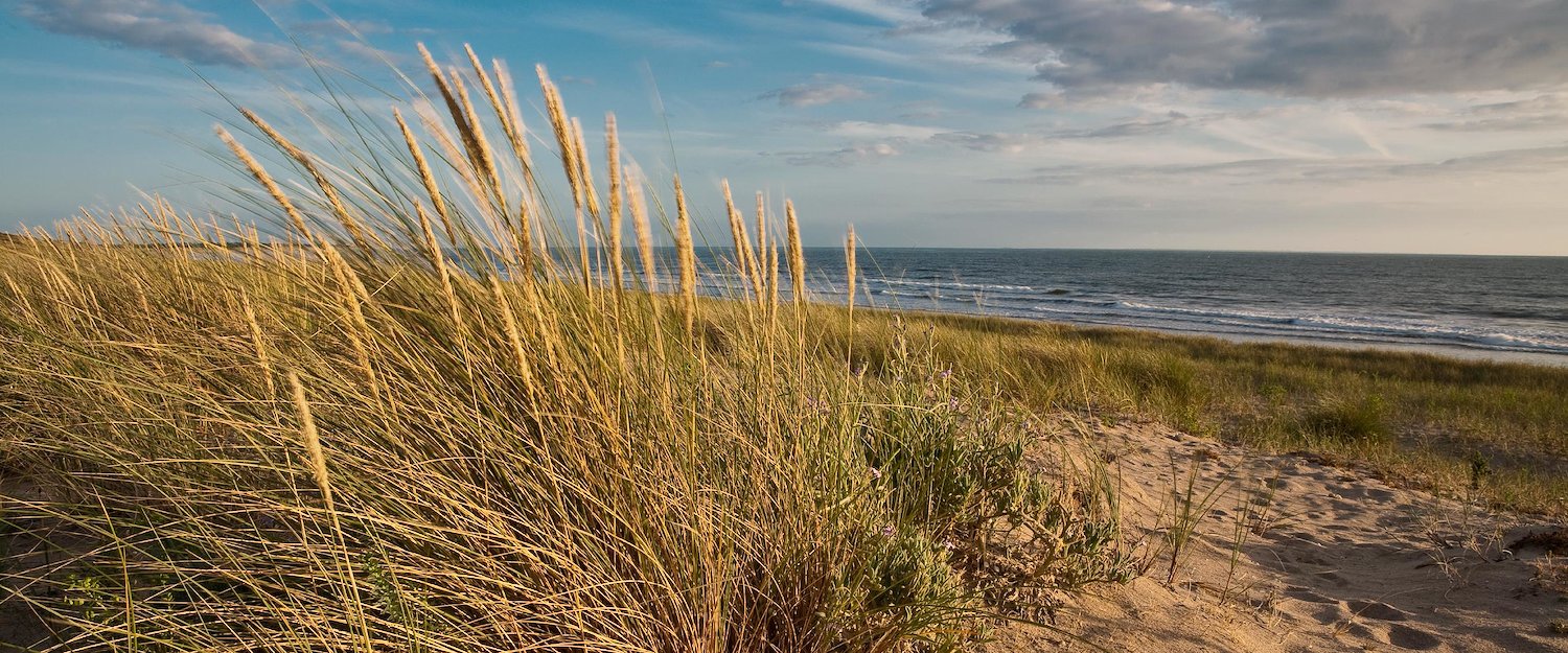 Plage, Vendée