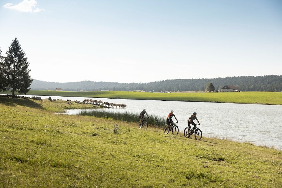 Gîtes et locations de vacances à Hauterive