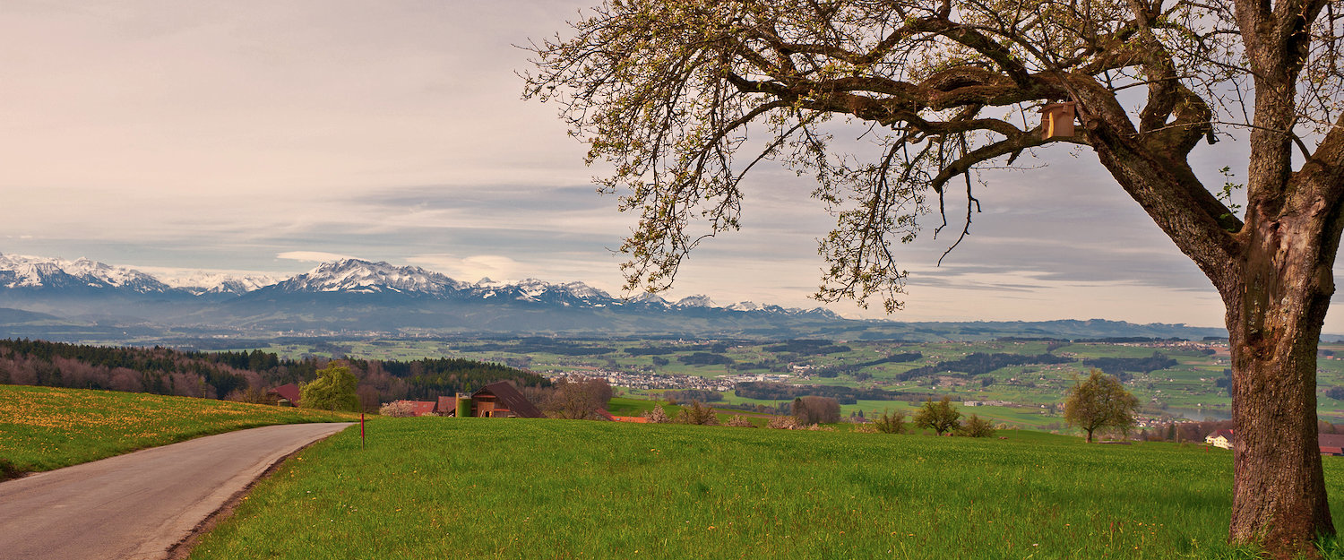 Traumhafte Aussicht über Galtür Traumhafte Aussicht über Galtür