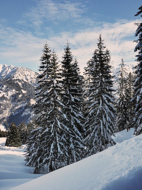 Winterlandschaft in Bad Hindelang