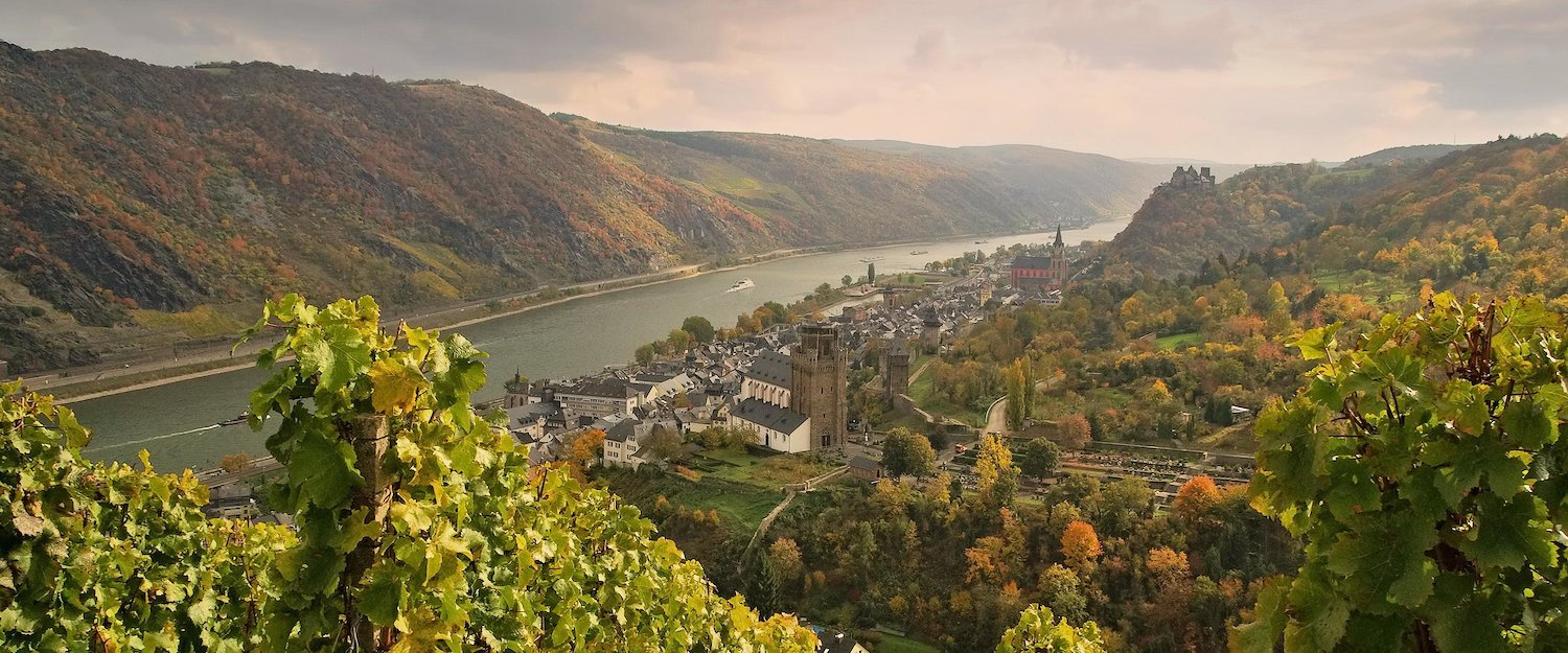 Blick von einem Weingebiet auf den Rhein Blick von einem Weingebiet auf den Rhein