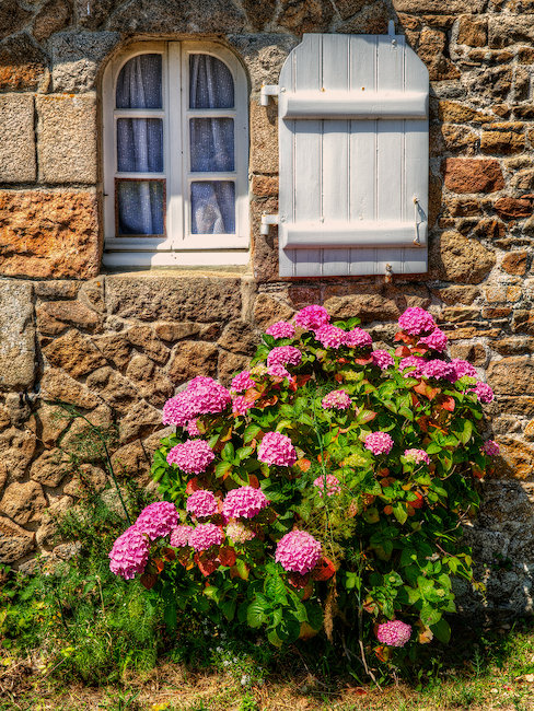 Vue sur maison à fleur