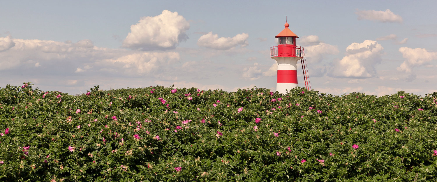 Leuchtturm bei Oddesund am Limfjord Leuchtturm bei Oddesund am Limfjord