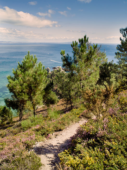 Chemin de terre Crozon