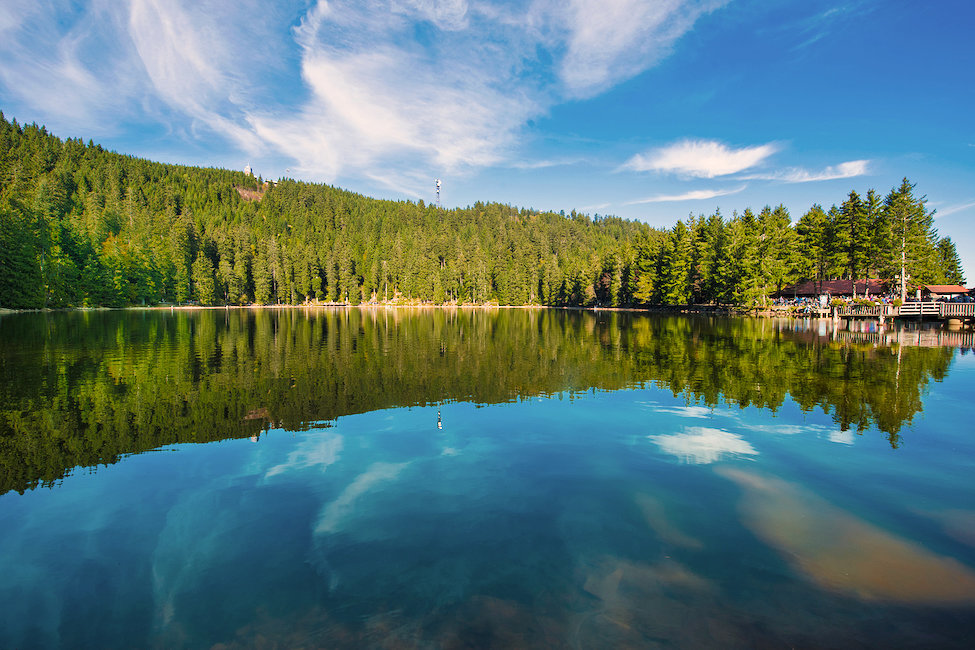 Ferienwohnungen und Ferienhäuser in Sasbachwalden