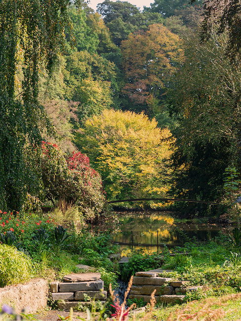 Parc dans les Ardennes Parc dans les Ardennes