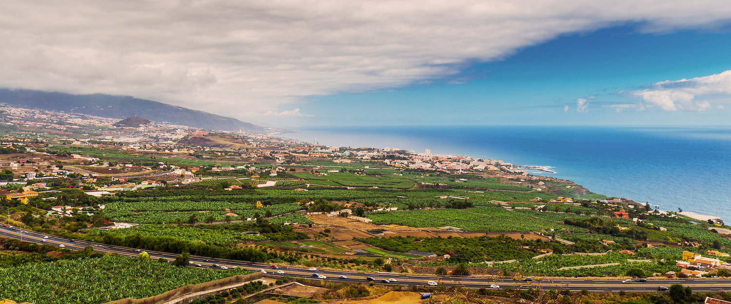 Blick auf die Stadt Orotava auf Teneriffa