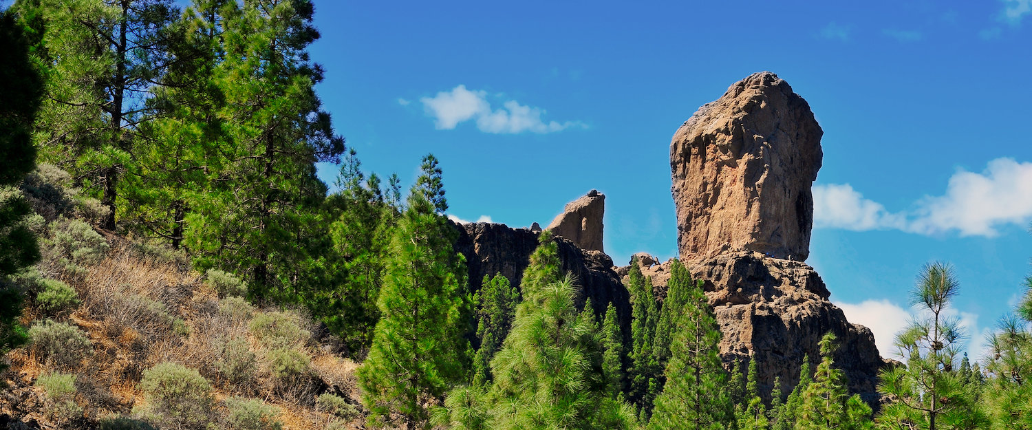 El Roque Nublo de Gran Canaria
