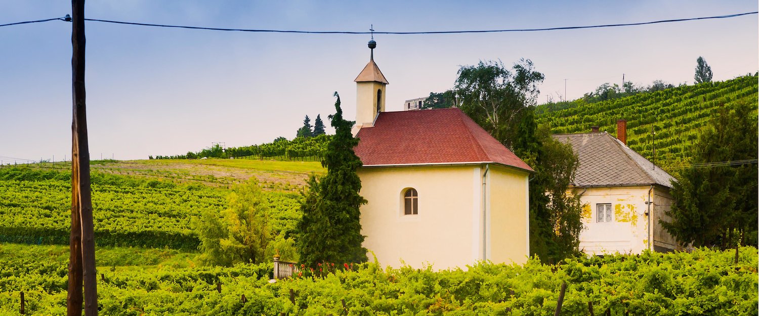 Kleine Kapelle inmitten eines Weinanbaugebietes beim Balaton