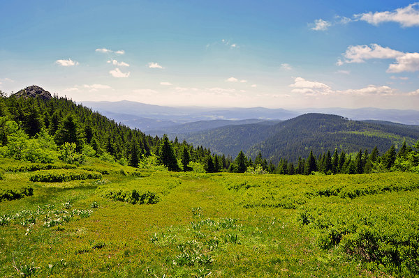Neuschönau