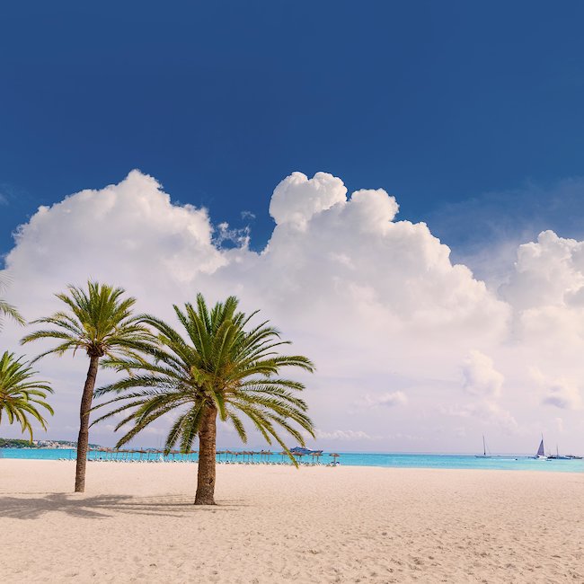 Relaks na piaszczystych plażach