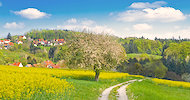 Schorndorf
