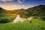 Destination