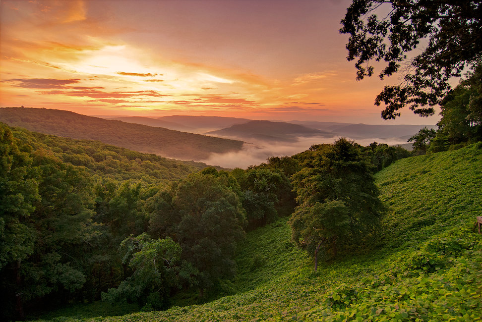 Cottages in Arkansas