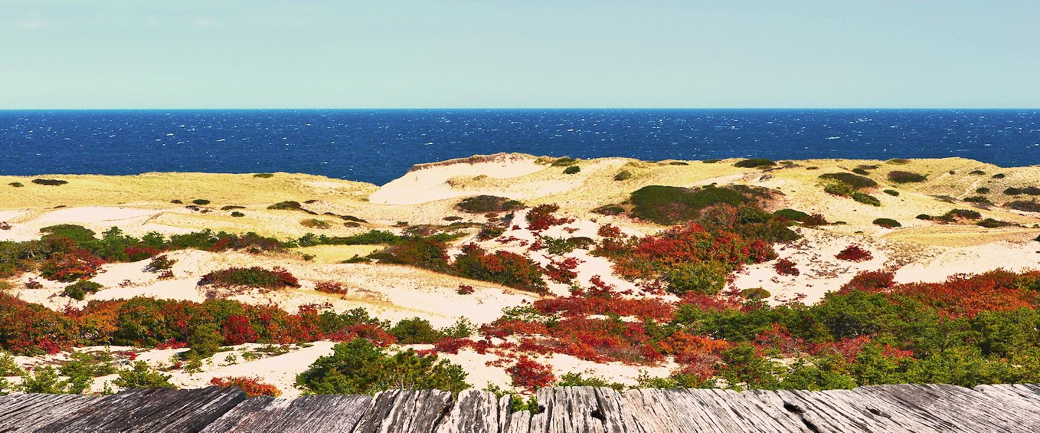 Beach Houses in Cape Cod