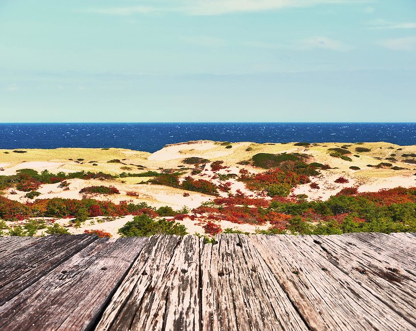 Cabins in Cape Cod