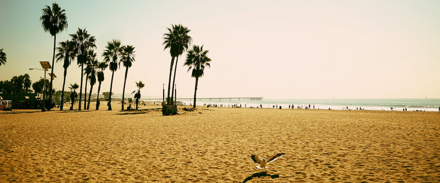 Venice Beach, LA Venice Beach, LA