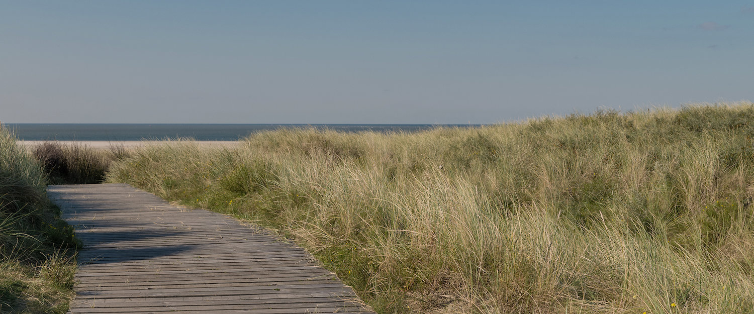 Holzsteg in Dünen an der Nordsee