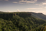 Pantanal