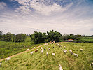 Mato Grosso do Sul