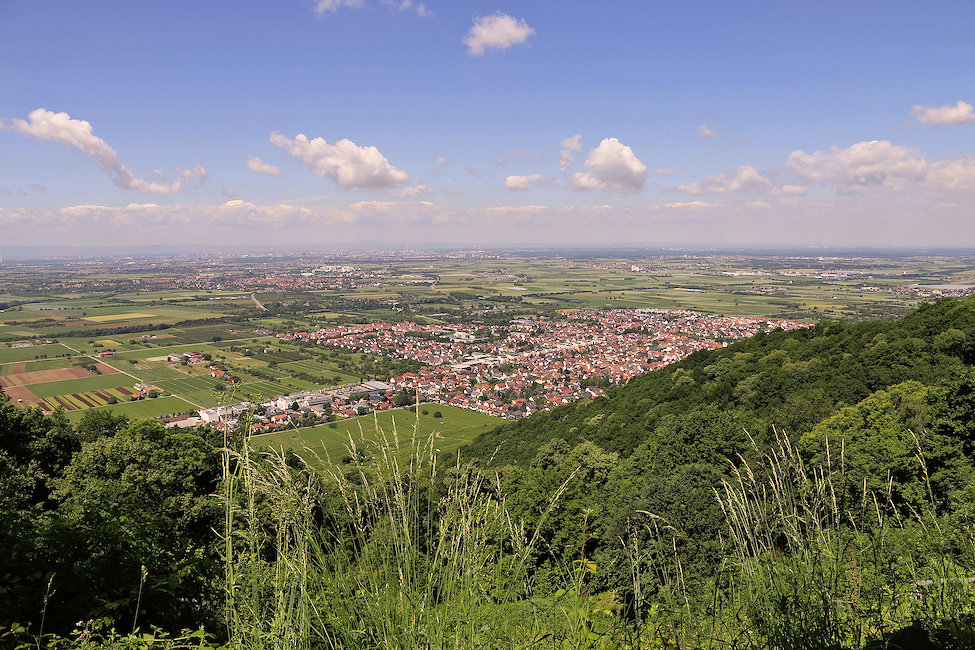 Neckargemünd