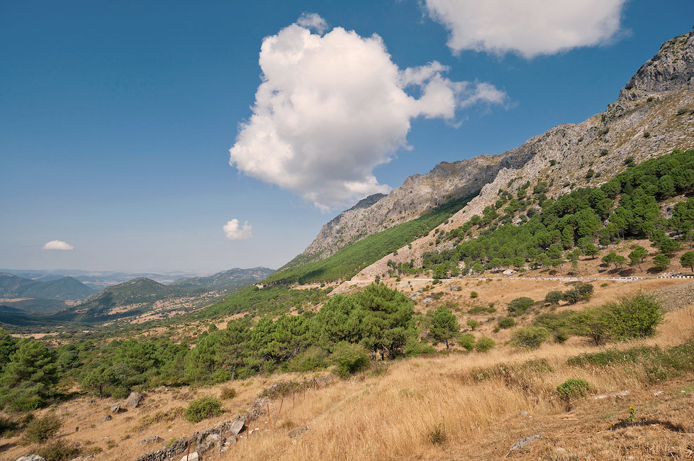 Casas rurales en Benalup-Casas Viejas