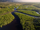 Rio Amazonas